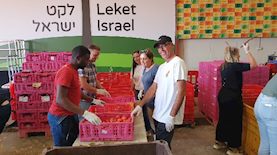 חברת הזרע וארגון לקט ישראל זורעים ותורמים, צילום: יחצ